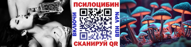Купить закладки Богучар Псилоцибиновые грибы Psilocybine cubensis